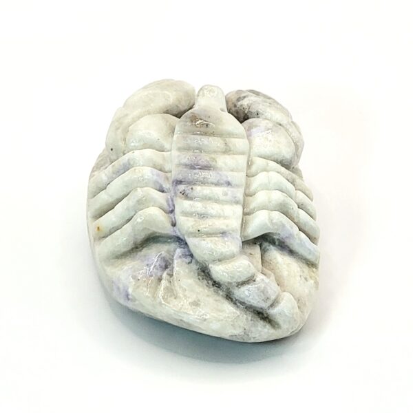 Hackmanite Scorpion Carving - Image 6