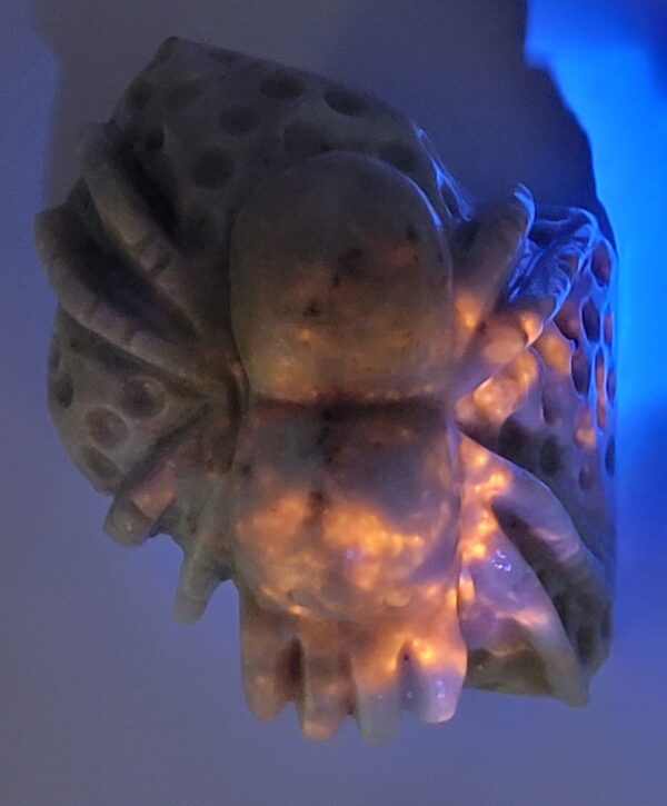 Hackmanite Spider Carving - Image 11