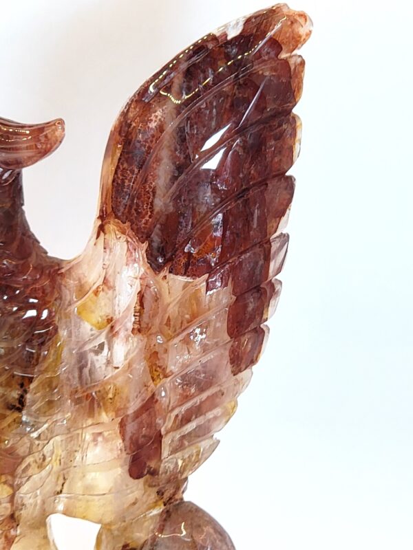 Hematoid Quartz Phoenix Carvings - Image 23