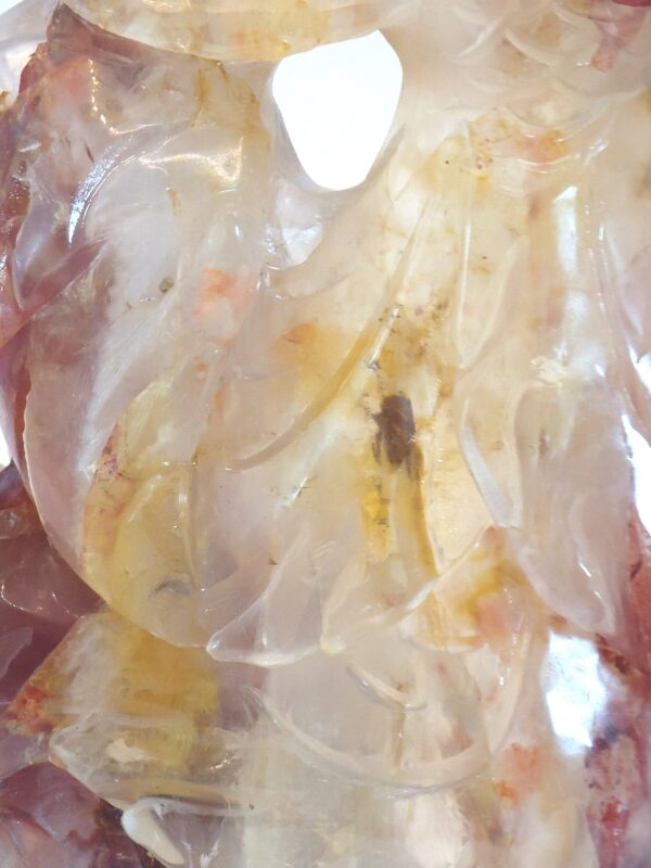 Hematoid Quartz Phoenix Carvings - Image 37
