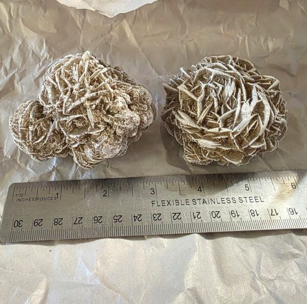 Desert Rose Gypsum - Image 13
