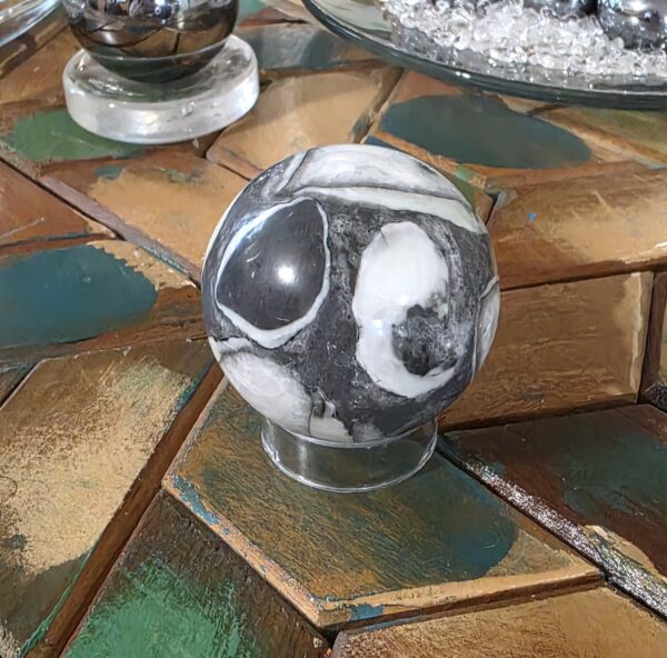Fossil Shell Jasper Spheres- Gray - Image 22