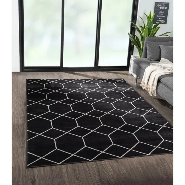 Trellis Geometric Woven Area Rug - Image 7