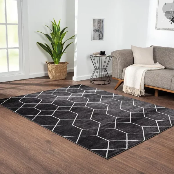 Trellis Geometric Woven Area Rug - Image 10