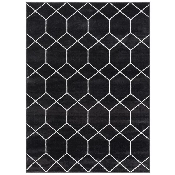 Trellis Geometric Woven Area Rug - Image 11