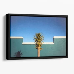 The Desert Blooms Floating Framed Canvas