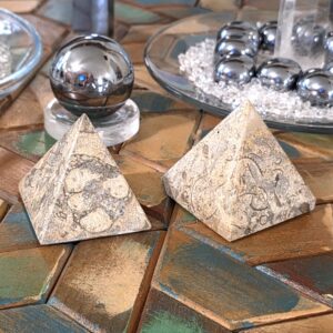 Fossilized Coral Pyramids