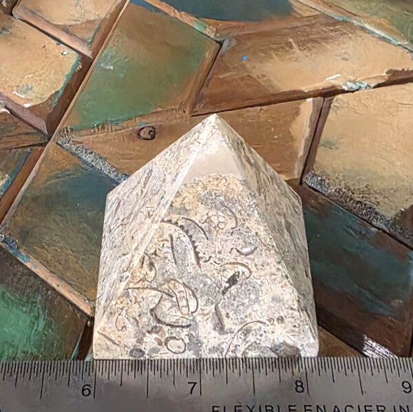 Fossilized Coral Pyramids - Image 7