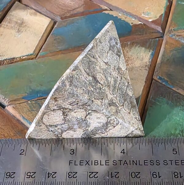 Fossilized Coral Pyramids - Image 3
