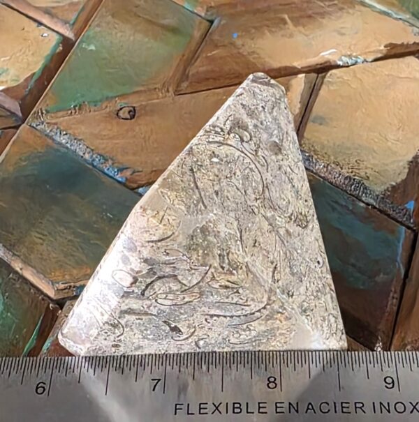 Fossilized Coral Pyramids - Image 8