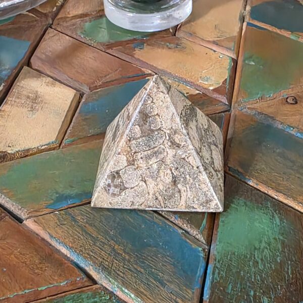 Fossilized Coral Pyramids - Image 6