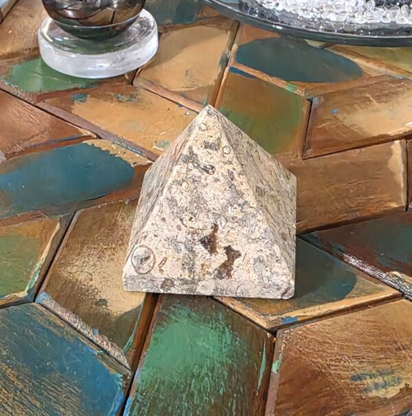 Fossilized Coral Pyramids - Image 11