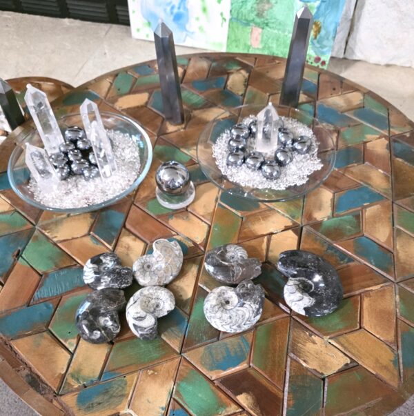 Goniatite Fossils - Image 8
