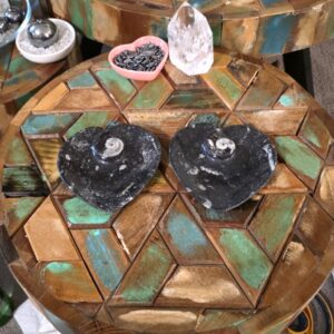 Heart-Shaped Fossil Plates
