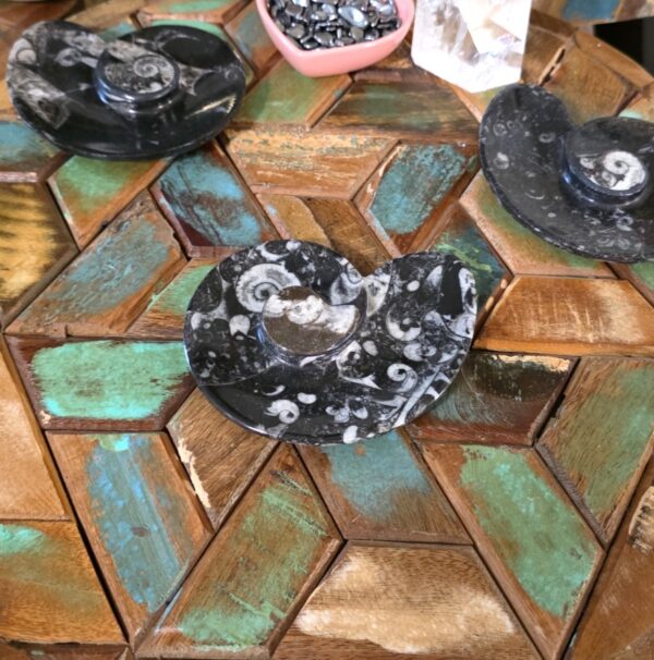 Ammonite-Shaped Fossil Plates - Image 2