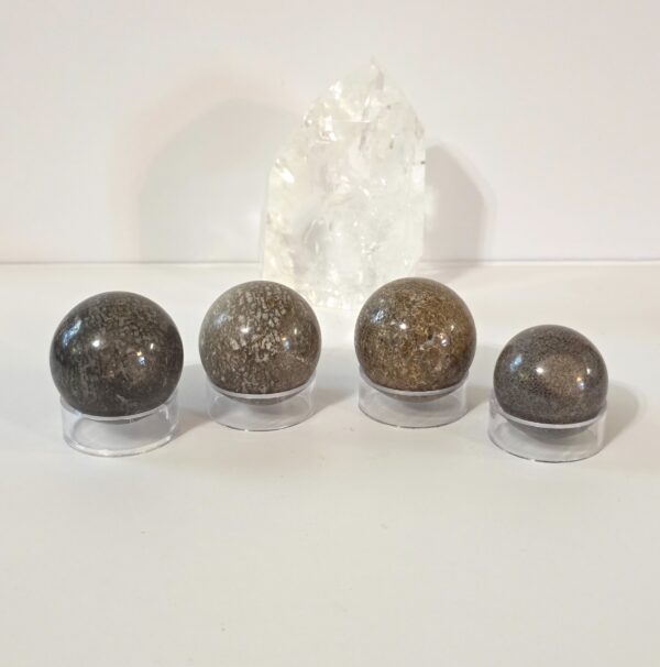 Dinosaur Bone Spheres - Image 14