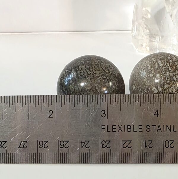 Dinosaur Bone Spheres - Image 2
