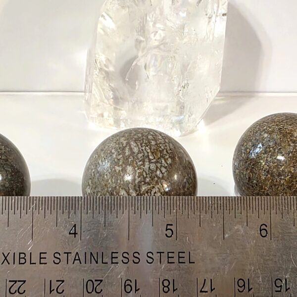 Dinosaur Bone Spheres - Image 6