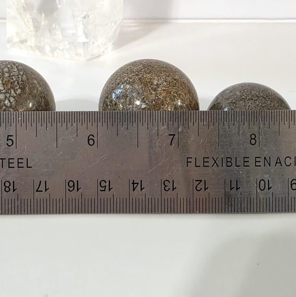 Dinosaur Bone Spheres - Image 10