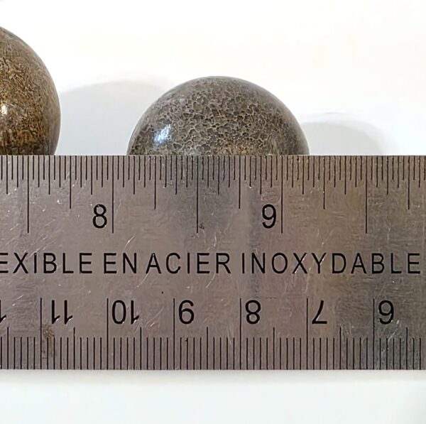 Dinosaur Bone Spheres - Image 16