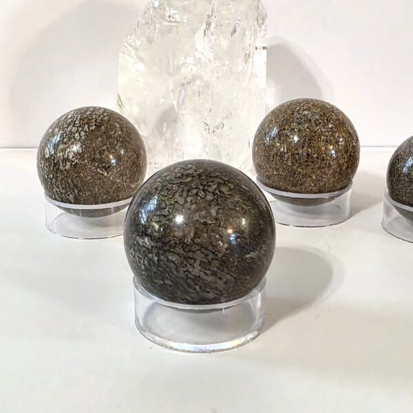 Dinosaur Bone Spheres - Image 3