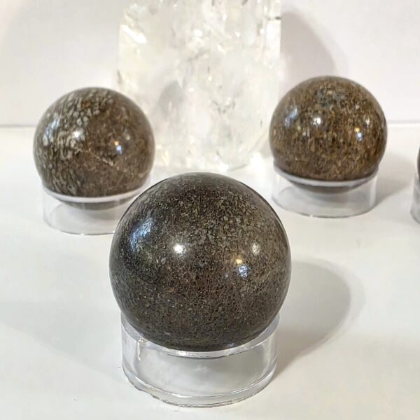 Dinosaur Bone Spheres - Image 4