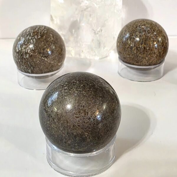 Dinosaur Bone Spheres - Image 5