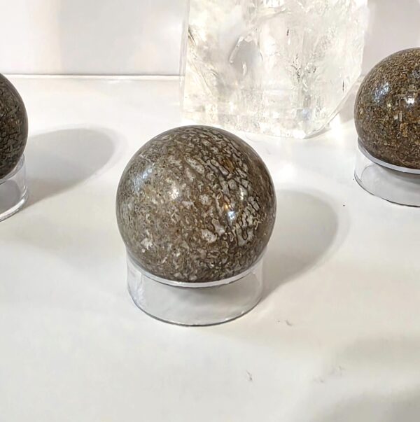 Dinosaur Bone Spheres - Image 7