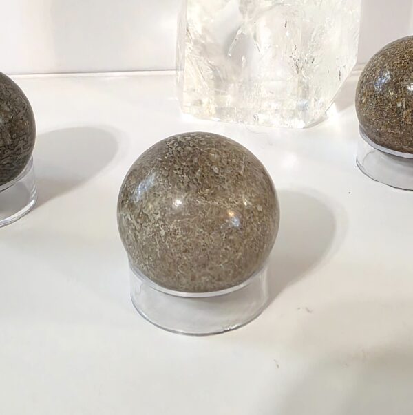 Dinosaur Bone Spheres - Image 9