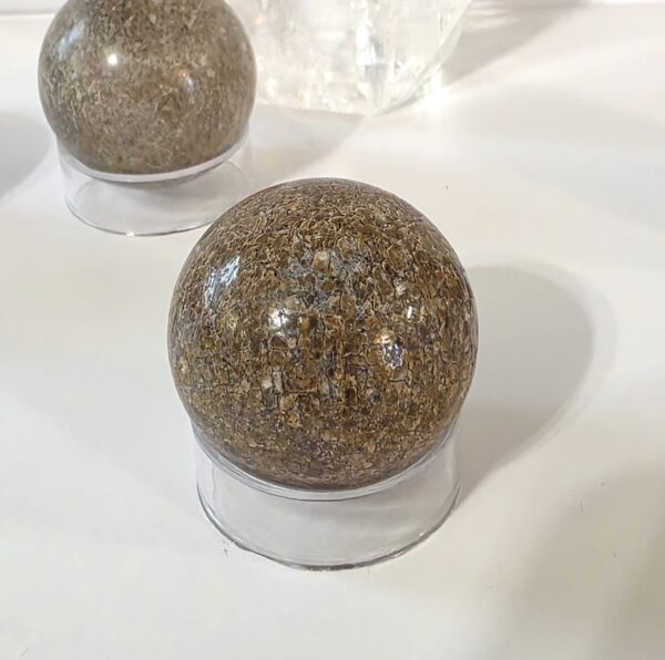 Dinosaur Bone Spheres - Image 11