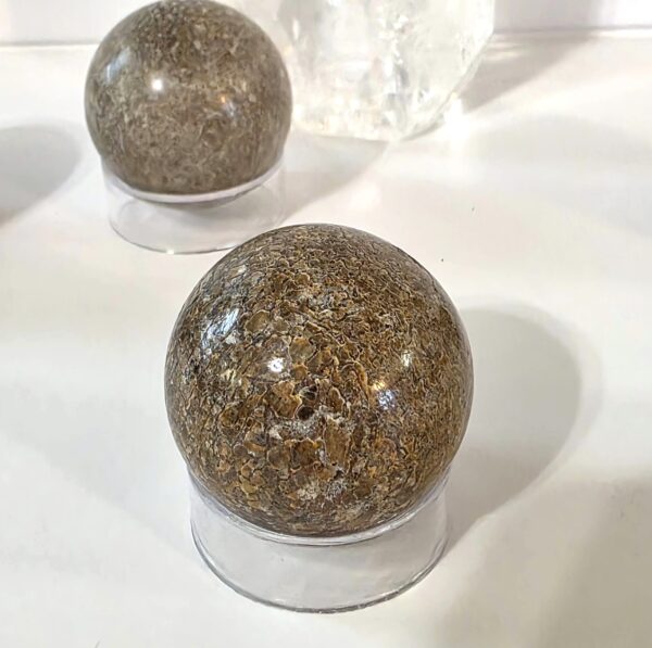 Dinosaur Bone Spheres