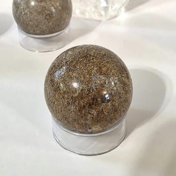 Dinosaur Bone Spheres - Image 13