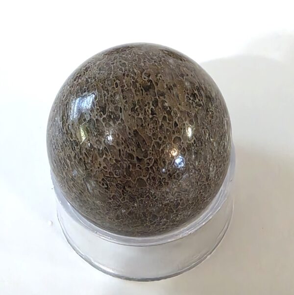 Dinosaur Bone Spheres - Image 17