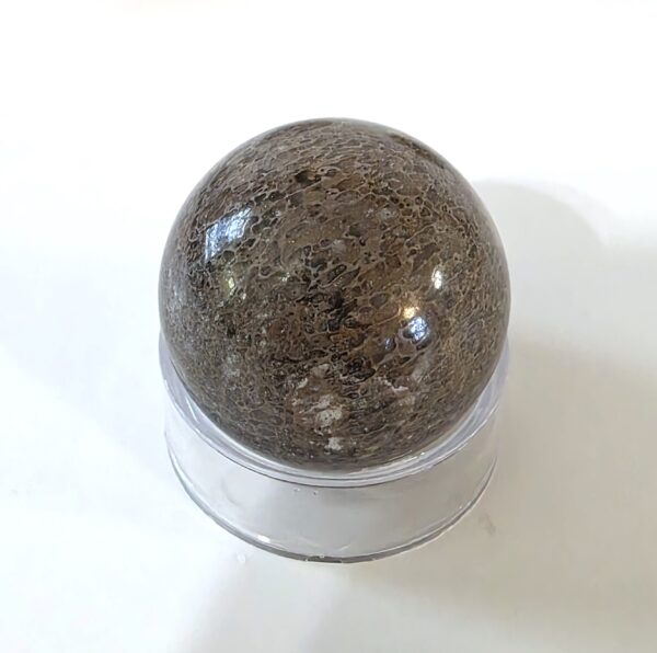 Dinosaur Bone Spheres - Image 18